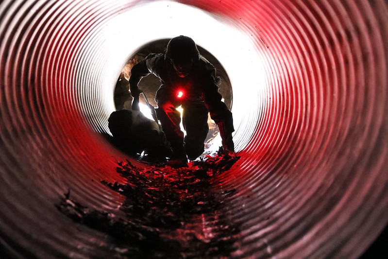 53595722695_0996a11347_c